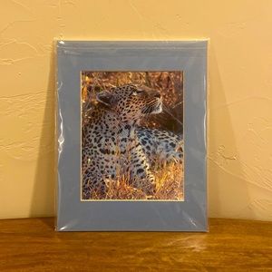 New animal photograph